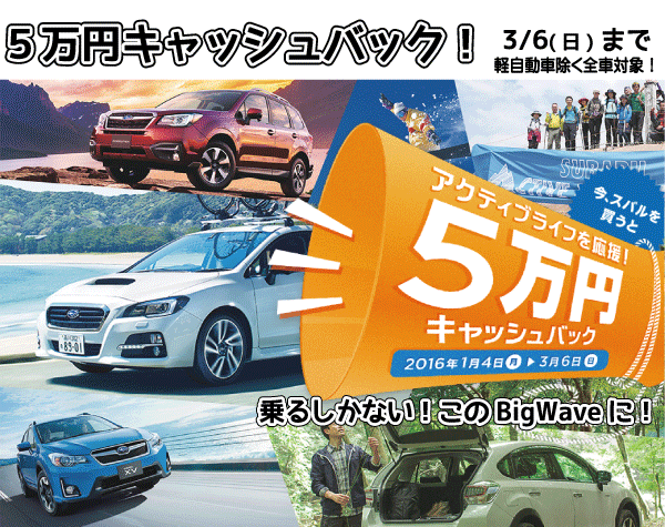 2016_01_キャッシュバックキャンペーン
