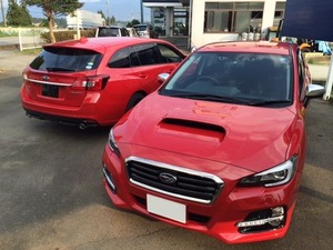blog6